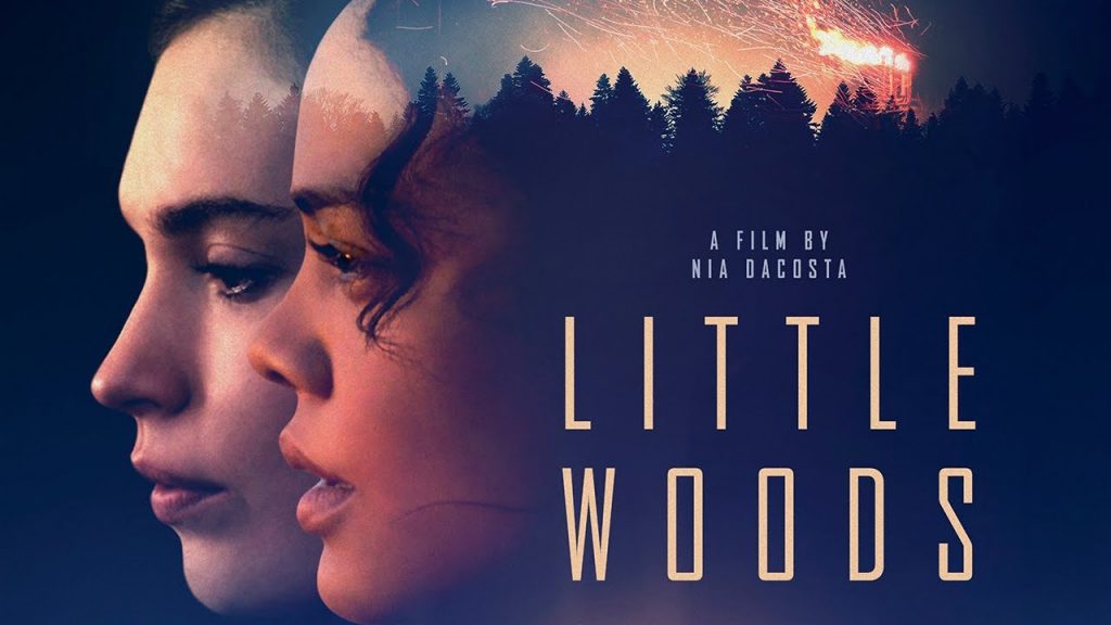Little Woods Film Poster